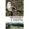 Where To Watch Birds In Ethiopia door Merid Gabremichael