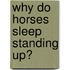 Why Do Horses Sleep Standing Up?