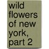 Wild Flowers of New York, Part 2