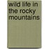 Wild Life in the Rocky Mountains