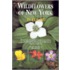 Wildflowers Of New York In Color