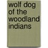 Wolf Dog Of The Woodland Indians