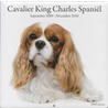 Cavalier King Charles spaniël