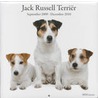 Jack Russell terriër