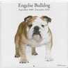 Engelse bulldog