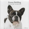 Franse bulldog