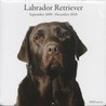 Labrador Retriever door Onbekend