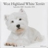 West Highland White Terriër
