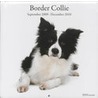 Border Collie door Onbekend