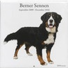 Berner Sennenhond