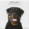 Rottweiler by Unknown