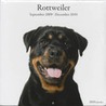 Rottweiler door Onbekend