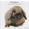 Konijnen