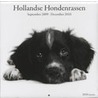 Hollandse hondenrassen
