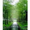 A Daily Guide To Spiritual Living door Jim Rosemergy