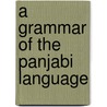 A Grammar Of The Panjabi Language door Onbekend