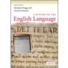 A History Of The English Language door David Denison