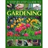 A Step-By-Step Guide To Gardening