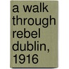 A Walk Through Rebel Dublin, 1916 by Mick O'Farrell