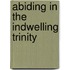 Abiding In The Indwelling Trinity