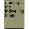 Abiding In The Indwelling Trinity door George A. Maloney