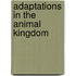 Adaptations In The Animal Kingdom
