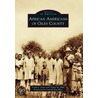 African Americans of Giles County door Tonya M. Hull