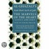 Al-Ghazali's Marvels Of The Heart