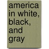 America in White, Black, and Gray door Klaus P. Fischer