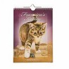 Weekkalender Franciens Katten