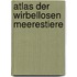 Atlas der wirbellosen Meerestiere