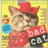 Bad Cat Page-A-Day Color Calendar