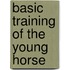 Basic Training Of The Young Horse