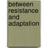 Between Resistance And Adaptation