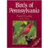 Birds of Pennsylvania Field Guide