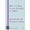 Boys To Men In The Shadow Of Aids door Anthony Simpson