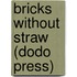 Bricks Without Straw (Dodo Press)