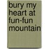 Bury My Heart at Fun-Fun Mountain