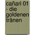 Cañari 01 - Die goldenen Tränen