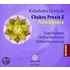Chakra Praxis 3 - Nabelchakra. Cd