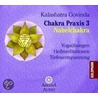 Chakra Praxis 3 - Nabelchakra. Cd door Kalashatra Govinda