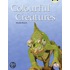 Colourful Creatures (Orange B) Nf