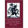 Culture,politic,nat Ident Wales C door Matthew Cragoe