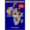 Dictionary Of African Names Vol.1 door 'Bunmi Adebayo
