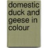 Domestic Duck And Geese In Colour
