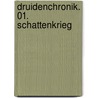 Druidenchronik. 01. Schattenkrieg door Andreas Saumweber