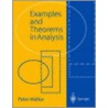 Examples and Theorums in Analysis door Peter Walker