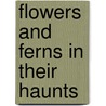 Flowers And Ferns In Their Haunts door Professor Mabel Osgood Wright