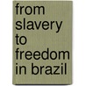 From Slavery to Freedom in Brazil door Dale Torston Graden