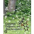 General, Organic And Biochemistry